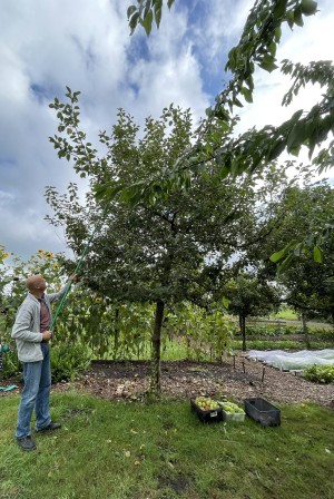 Waardetuin