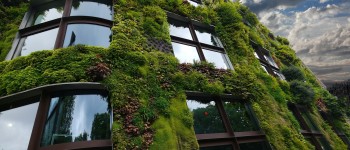 Groene gevels.jpg
