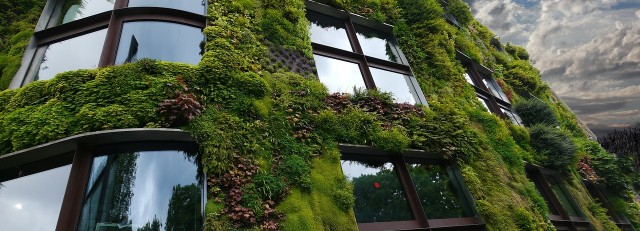 Groene gevels.jpg